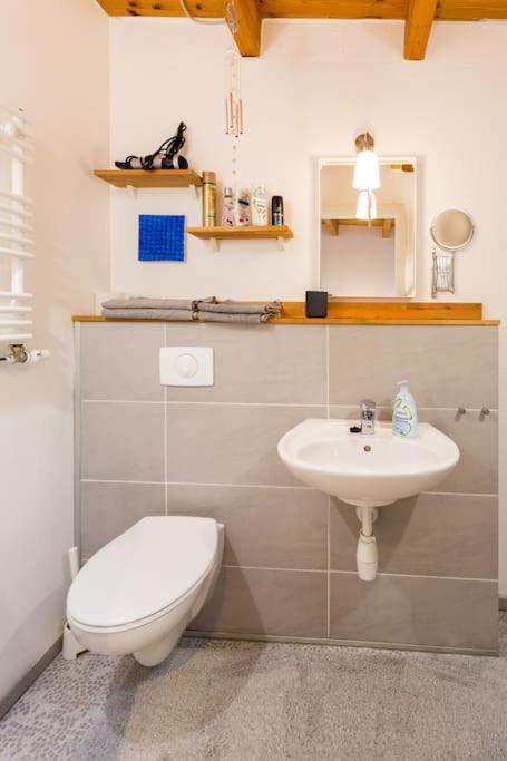 Apartment Wilhelmstr Fuer Bis Zu 3 Personen Brühl Extérieur photo